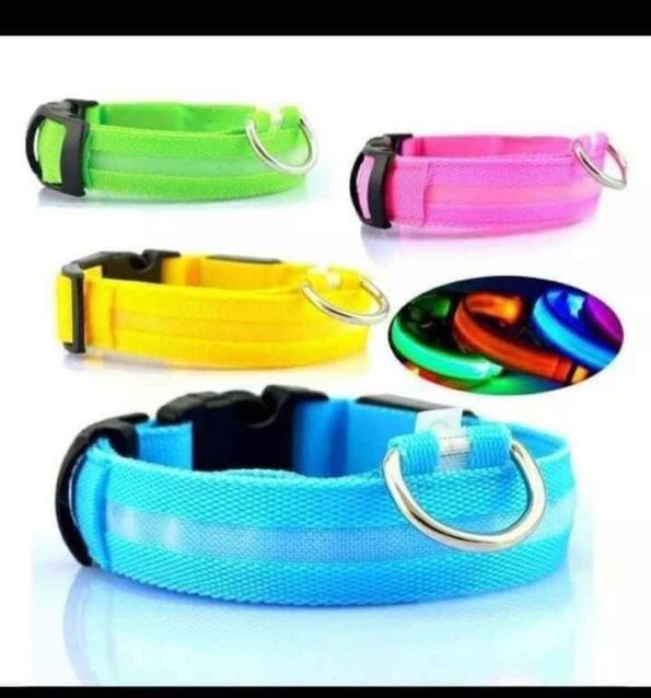 Collar Para Perro Con Luz Led Recargable Productos Chinos