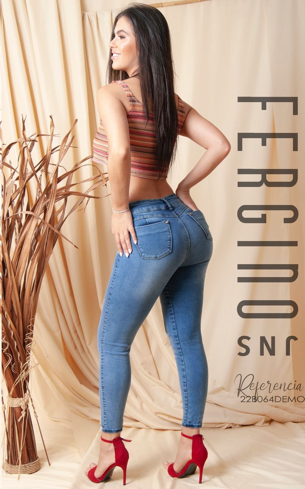 FERGINO 22B064