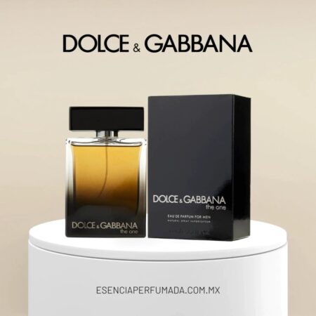 Dolce & Gabbana Eau de Toilette The One for Men