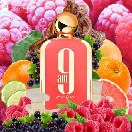 Perfume Afnan 9am Pour Femme 100ml Eau De Parfum (coral)