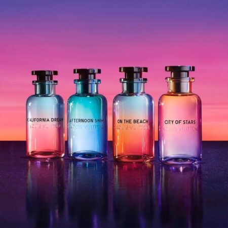SET DE LOUIS VUITTON 217