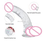 DILDO REALISTA CURVO CRISTAL 7.9 / 5557